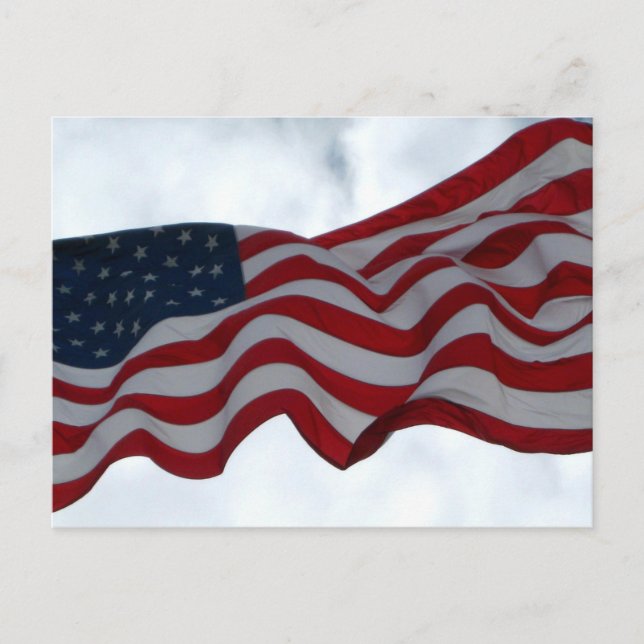 Thank You  ... Veterans Day Postcard (Front)
