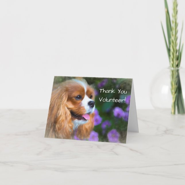 Thank You Volunteer Cavalier King Charles Spaniel (Front)