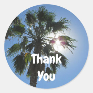 Thank You Warm Palm Tree Tropical Sunshine Thanks Classic Round Sticker