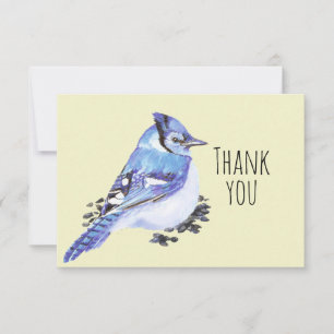 Thank You Watercolor Blue Jay Bird Nature Art