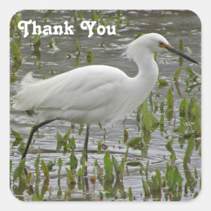 Thank You White Egret Beautiful Animal Wading Bird Square Sticker