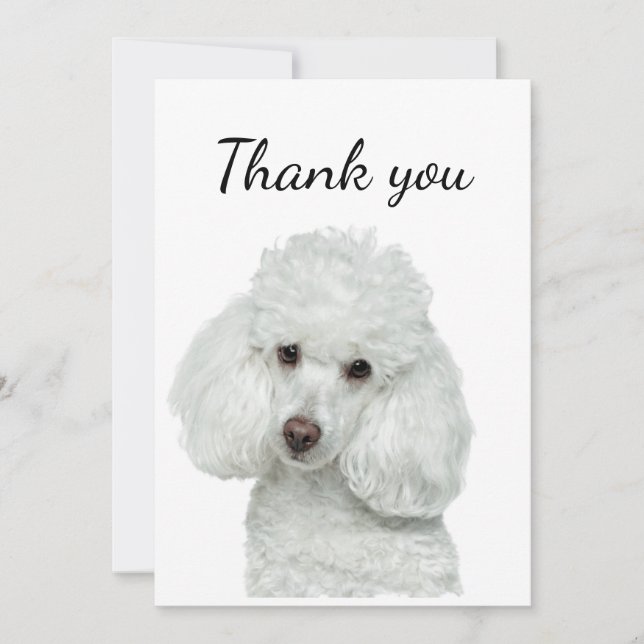 Thank You White Poodle Dog Pet Animal (Front)