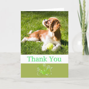 Thank You With Puppy Cavalier King Charles Card