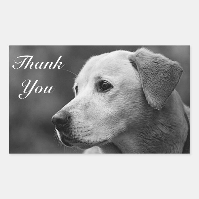 Thank You Yellow Labrador Retriever Sticker (Front)