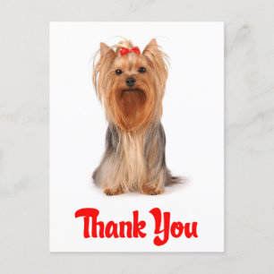 Thank You Yorkshire Terrier Puppy Dog Postcard