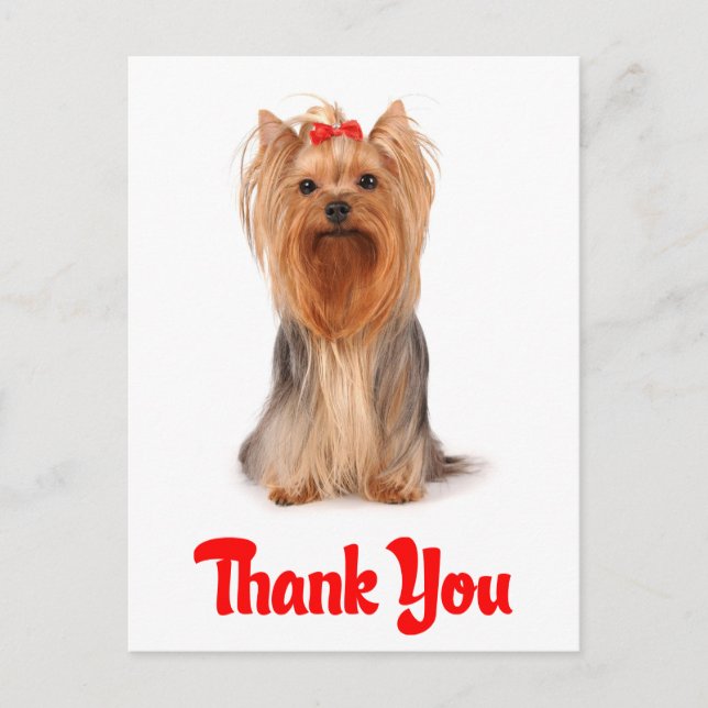 Thank You Yorkshire Terrier Puppy Dog Postcard (Front)