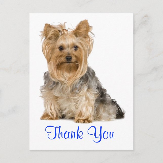 Thank You Yorkshire Terrier Puppy Dog Postcard (Front)