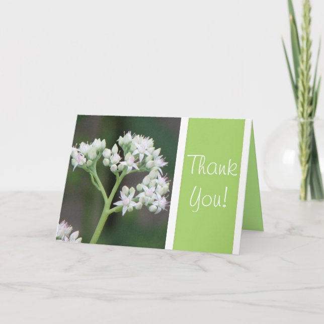 Thank You! You Card (Front)