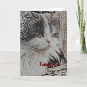 Thank you! you card