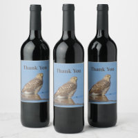 Thank You Young Hawk Beautiful Wild Raptor Bird