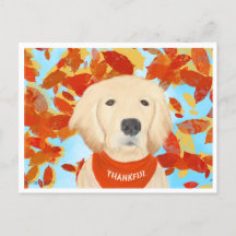 Thankful - Falling Into My Life Postcard