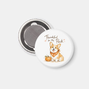 Thankful For My Pack Watercolor Corgi Magnet