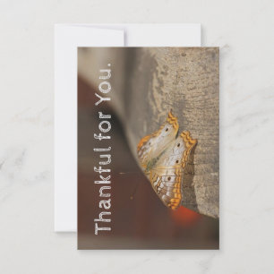 Thankful for You Thanksgiving card