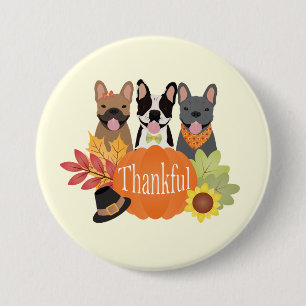 Thankful French Bulldogs Thanksgiving 3 Inch Round Button