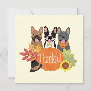 Thankful French Bulldogs Thanksgiving Holiday Card