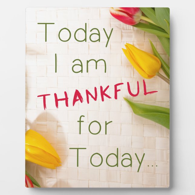 Thankful Motivational Qoutes Plaque (Front)