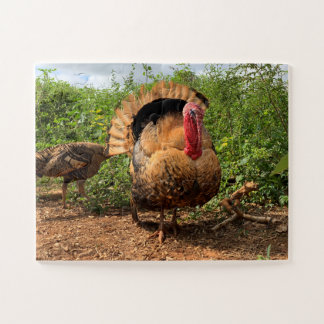 Thankgiving Turquie Puzzle