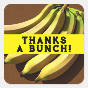 Thanks a bunch square sticker