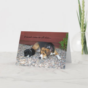 Thanks For Being A Friend Beagle Greeting Card
