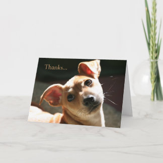 Thanks for being my friend thank you card