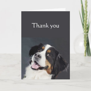 Thanks for being so Awesome Border Collie Dog Card