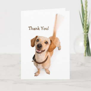 Thanks For Making My Tail Wag Thank You Card