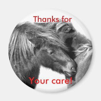 Thanks for Your care! Ponies scratching magnets