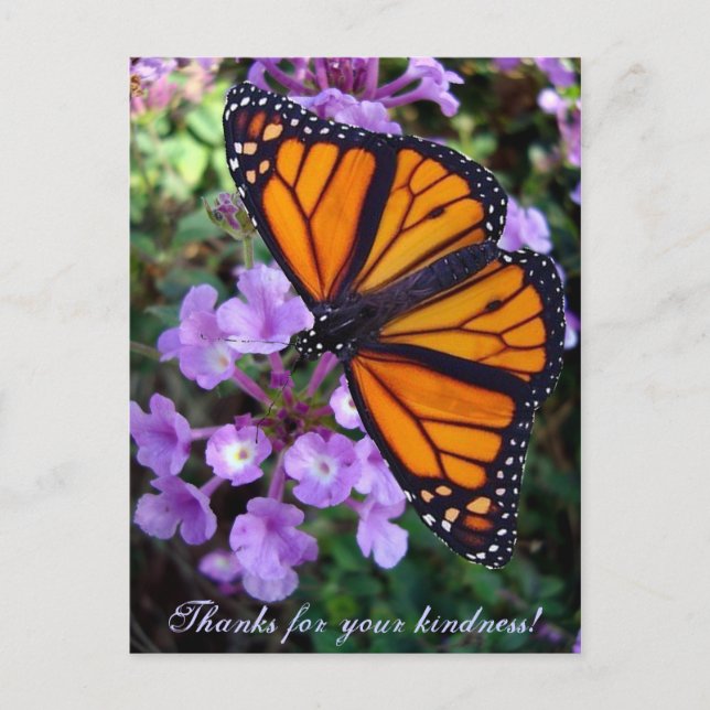 Thanks for your kindness! Postcard (Front)