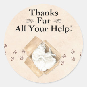 Thanks Fur All Your Help! Cats in Boxes, Thank You Classic Round Sticker
