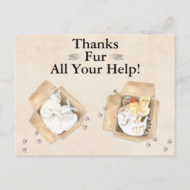 Thanks Fur All Your Help! Cats in Boxes, Thank You Postcard (Front)