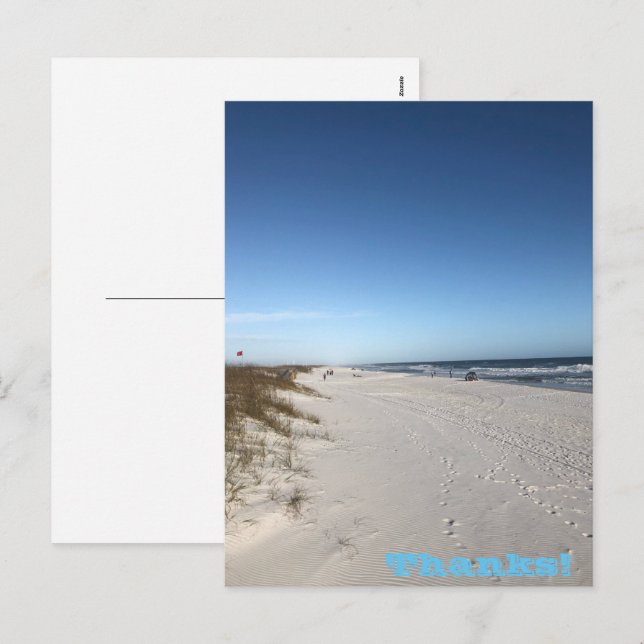 Thanks Holiday Postcard (Front/Back)