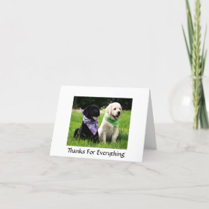 Thanks  Labrador Retriever Puppies Greeting Card