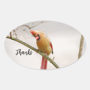 Thanks oval sticker