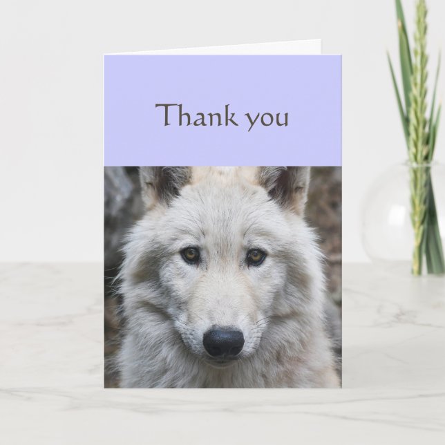 Thanks Sincere White Wolf Animal Scripture Card (Front)