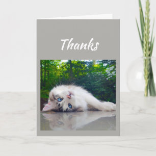 Thanks, Thank you Silly Cat Card