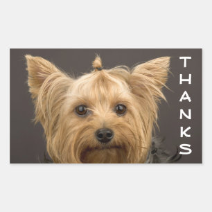 Thanks Yorkshire Terrier Puppy Dog Stickers