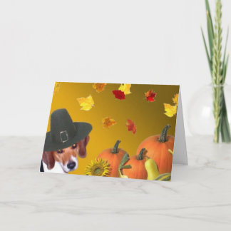 Thanksgiving 2005 holiday card