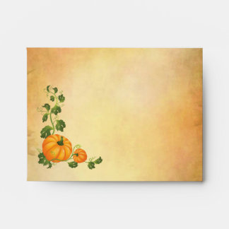 Thanksgiving, autumn harvest, pumpkins A2 Envelopes
