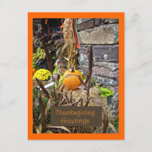 Thanksgiving Bounty Holiday Postcard
