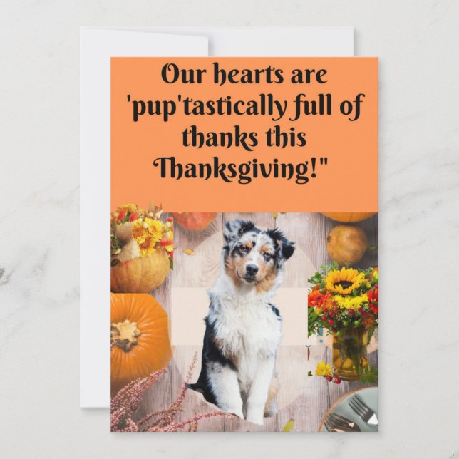 Thanksgiving Card for Dogs and Cats,  (Front)