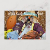Thanksgiving chihuahua party invitations