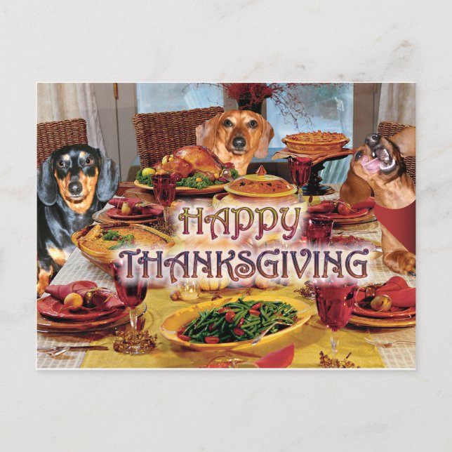 Thanksgiving Dachshunds Holiday Postcard (Front)