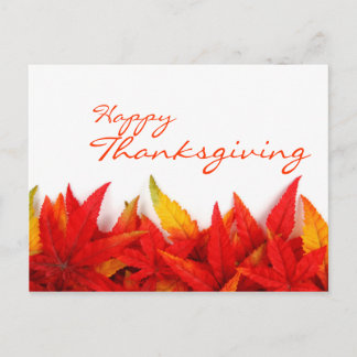 Thanksgiving Day Postcard