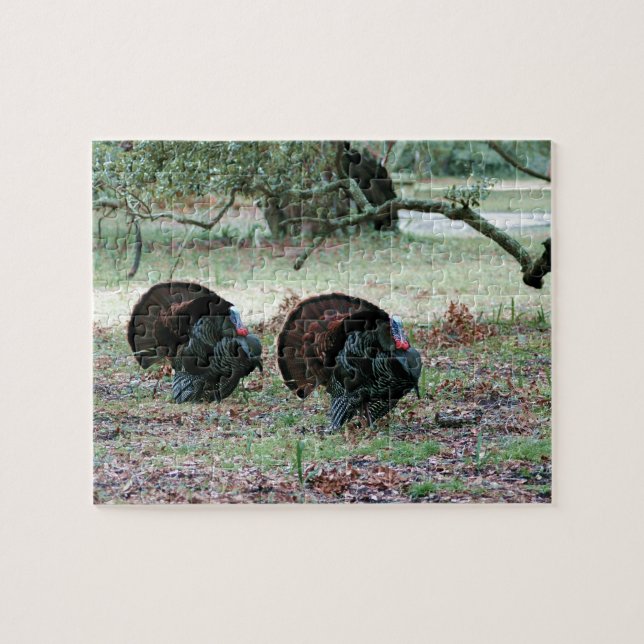 Thanksgiving Day Wild Turkeys in an Open Field Jigsaw Puzzle (Horizontal)