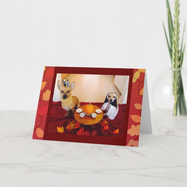 Thanksgiving Dogs Holiday Card (Front)