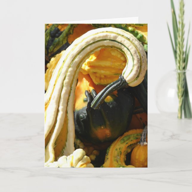 Thanksgiving For A Friend, Gourds Holiday Card (Front)