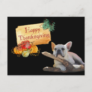 Thanksgiving French Bulldog postcard