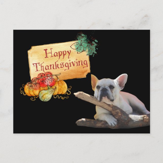 Thanksgiving French Bulldog Postcard (Front)