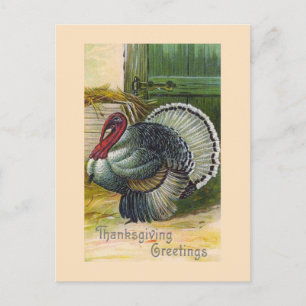 "Thanksgiving Greetings" Vintage Postcard