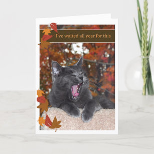 Thanksgiving Grey Cat Too Much Turkey Card